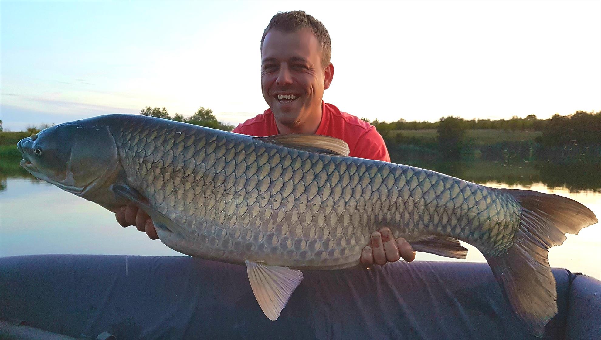 Tancabesti 5 - 8 sep. - 18 kg